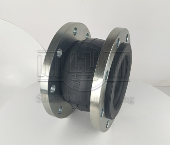 Desciption of Rubber Expansion Joint.jpg