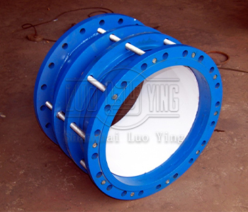 double flange dismantling joint.jpg