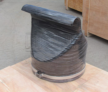 duckbill check valve.jpg