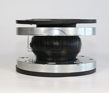 rubber expansion joint.jpg
