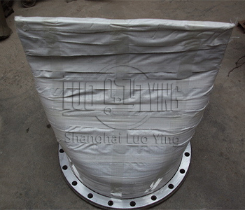 Slip-on check valve.jpg