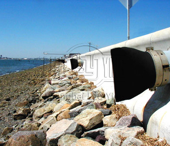 Duckbill Check Valve.jpg