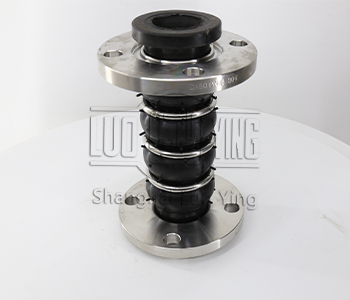 Rubber Expansion joints.jpg