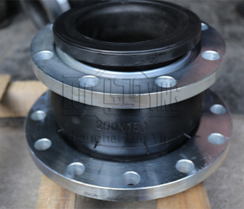 rubber duckbill check valve.jpg