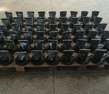sewage disposal check valve.jpg