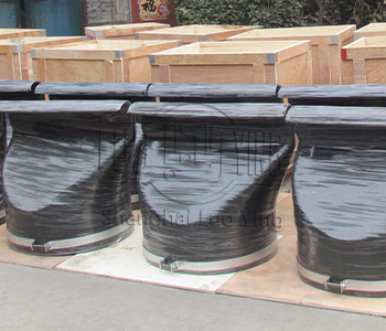 Design of Duckbill Check Valve.jpg