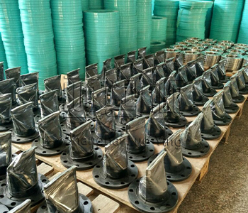 Inline duckbill check valve.jpg