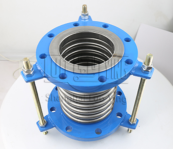 metal bellows PTFE liner.jpg