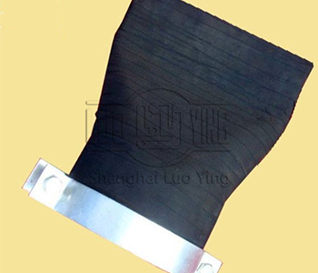  Duckbill Valve.jpg