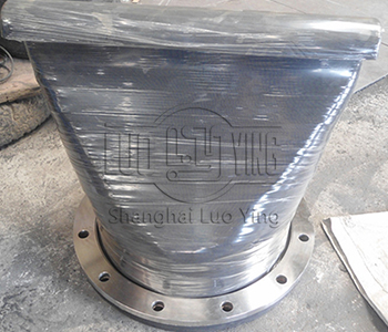 duckbill valve.jpg