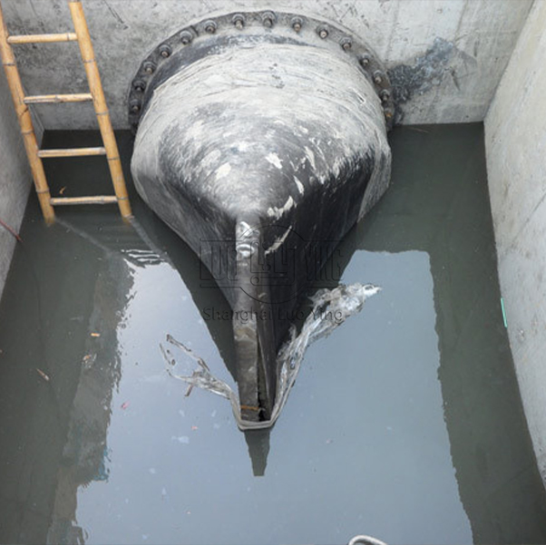duckbill check valve 