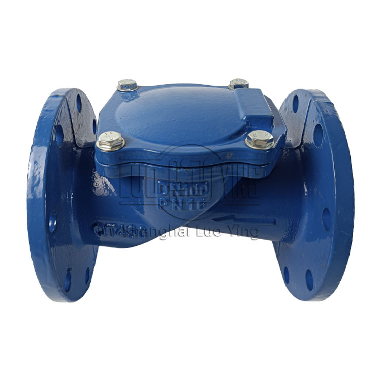 Rubber flap check valve